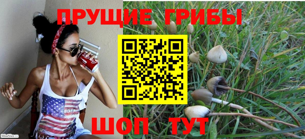Сергиев Посад  Псилоцибиновые грибы MAGIC MUSHROOMS  Вход с VPN  Псилоцибиновые грибы ЛСД 