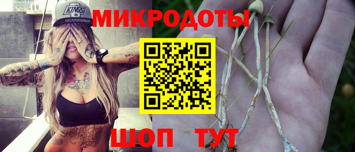 Галлюциногенные грибы прущие грибы Сергиев Посад